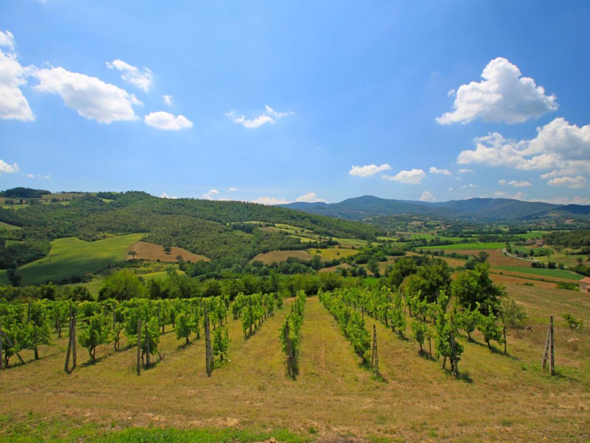 Monterchi Holiday Home Montebello By Interhome מראה חיצוני תמונה